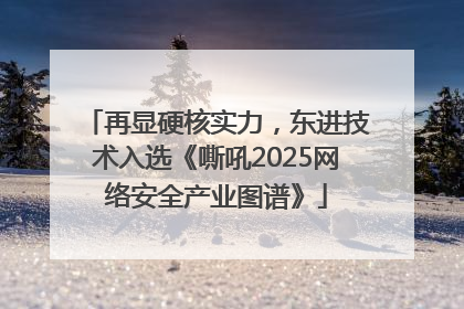 再显硬核实力，东进技术入选《嘶吼2025网络安全产业图谱》