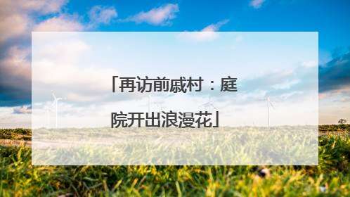 再访前戚村：庭院开出浪漫花