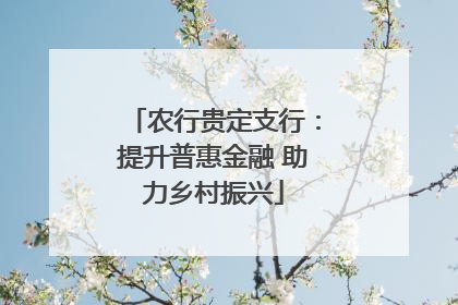 农行贵定支行：提升普惠金融 助力乡村振兴