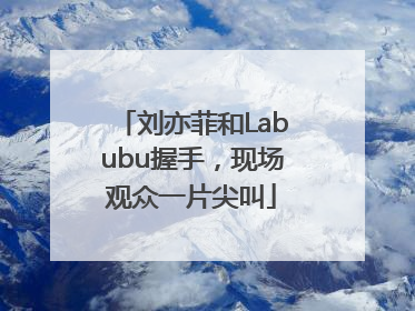 刘亦菲和Labubu握手，现场观众一片尖叫