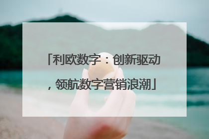 利欧数字：创新驱动，领航数字营销浪潮