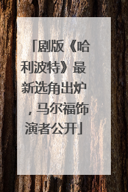 剧版《哈利波特》最新选角出炉，马尔福饰演者公开