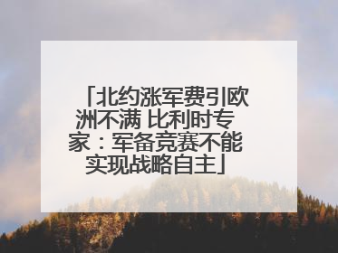 北约涨军费引欧洲不满 比利时专家：军备竞赛不能实现战略自主