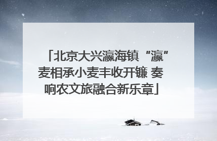北京大兴瀛海镇“瀛”麦相承小麦丰收开镰 奏响农文旅融合新乐章