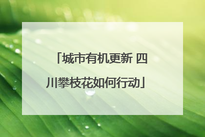 城市有机更新 四川攀枝花如何行动
