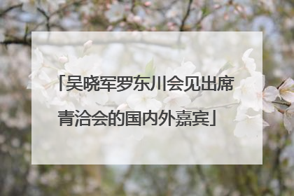 吴晓军罗东川会见出席青洽会的国内外嘉宾