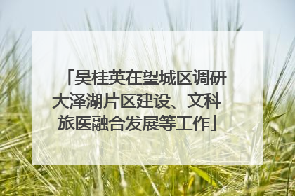 吴桂英在望城区调研大泽湖片区建设、文科旅医融合发展等工作