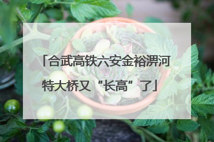 合武高铁六安金裕淠河特大桥又“长高”了