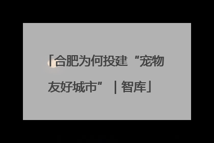 合肥为何投建“宠物友好城市”｜智库