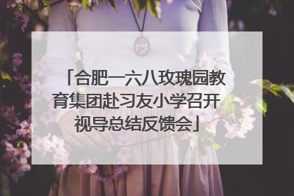合肥一六八玫瑰园教育集团赴习友小学召开视导总结反馈会