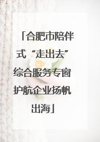 合肥市陪伴式“走出去”综合服务专窗护航企业扬帆出海