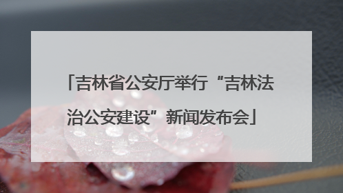吉林省公安厅举行“吉林法治公安建设”新闻发布会