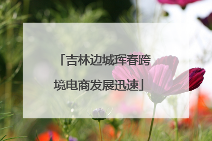 吉林边城珲春跨境电商发展迅速
