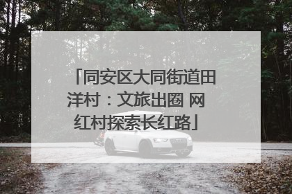 同安区大同街道田洋村：文旅出圈 网红村探索长红路