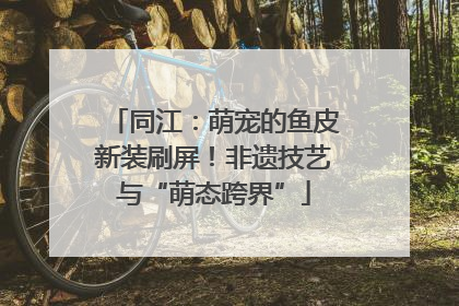 同江：萌宠的鱼皮新装刷屏！非遗技艺与“萌态跨界”