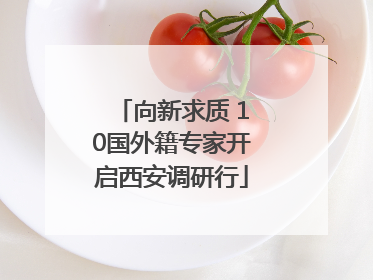 向新求质 10国外籍专家开启西安调研行