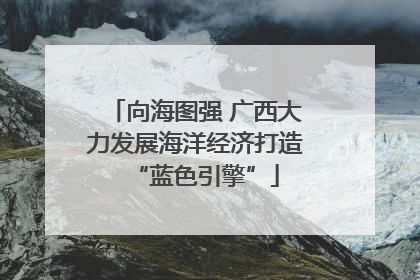 向海图强 广西大力发展海洋经济打造“蓝色引擎”