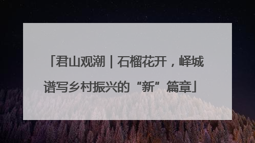 君山观潮｜石榴花开，峄城谱写乡村振兴的“新”篇章