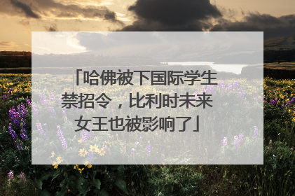 哈佛被下国际学生禁招令，比利时未来女王也被影响了