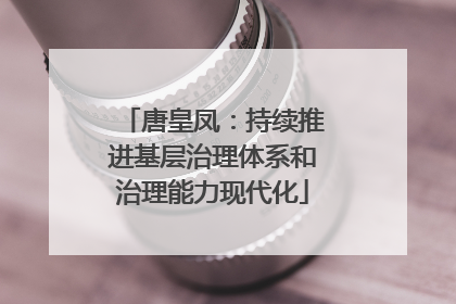 唐皇凤：持续推进基层治理体系和治理能力现代化
