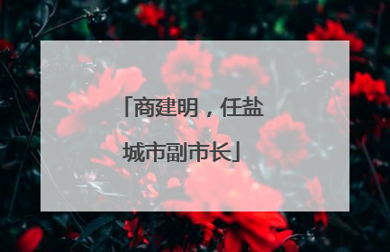 商建明，任盐城市副市长