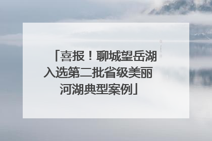 喜报！聊城望岳湖入选第二批省级美丽河湖典型案例