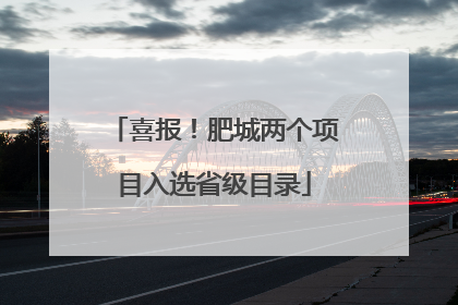 喜报！肥城两个项目入选省级目录