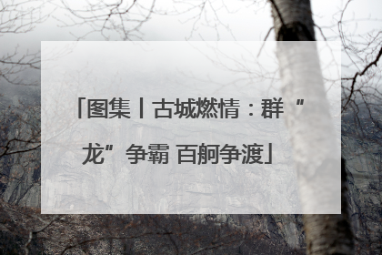 图集丨古城燃情：群“龙”争霸 百舸争渡