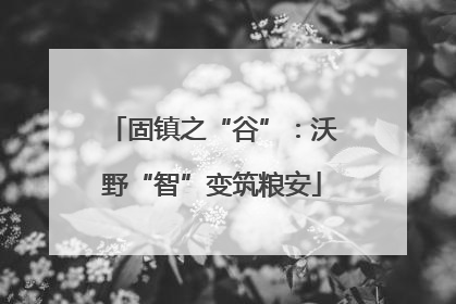 固镇之“谷”：沃野“智”变筑粮安