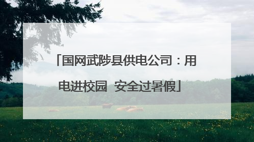 国网武陟县供电公司：用电进校园  安全过暑假