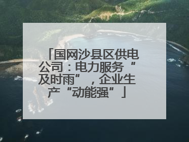 国网沙县区供电公司：电力服务“及时雨”，企业生产“动能强”