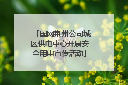 国网荆州公司城区供电中心开展安全用电宣传活动