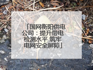 国网衡阳供电公司：提升带电检测水平 筑牢电网安全屏障