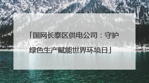 国网长泰区供电公司：守护绿色生产赋能世界环境日