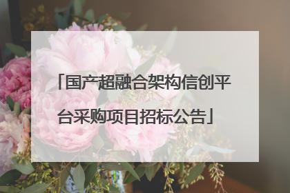 国产超融合架构信创平台采购项目招标公告