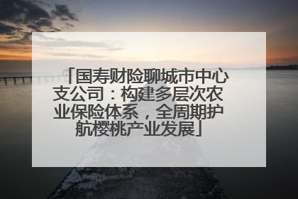 国寿财险聊城市中心支公司：构建多层次农业保险体系，全周期护航樱桃产业发展