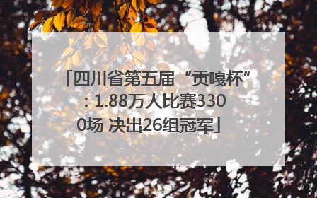 四川省第五届“贡嘎杯”：1.88万人比赛3300场 决出26组冠军