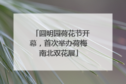 圆明园荷花节开幕，首次举办荷梅南北双花展