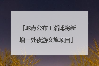 地点公布！淄博将新增一处夜游文旅项目