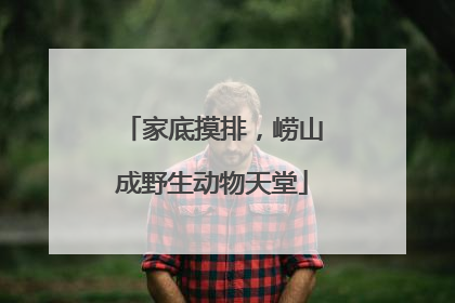 家底摸排，崂山成野生动物天堂