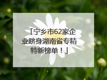 宁乡市62家企业跻身湖南省专精特新榜单！