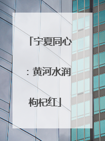 宁夏同心：黄河水润枸杞红