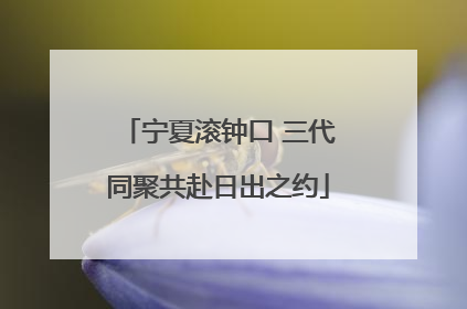 宁夏滚钟口 三代同聚共赴日出之约
