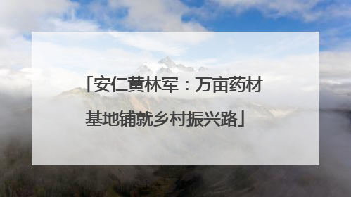 安仁黄林军：万亩药材基地铺就乡村振兴路