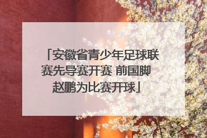 安徽省青少年足球联赛先导赛开赛 前国脚赵鹏为比赛开球