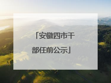 安徽四市干部任前公示