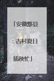 安徽黟县：古村夏日插秧忙