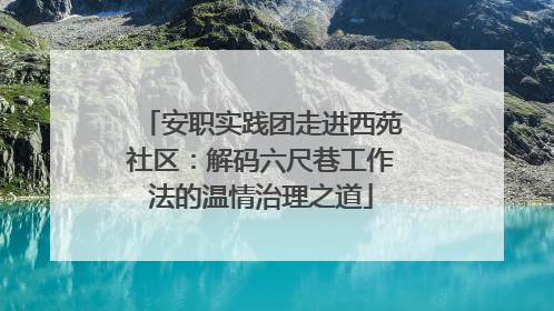 安职实践团走进西苑社区：解码六尺巷工作法的温情治理之道