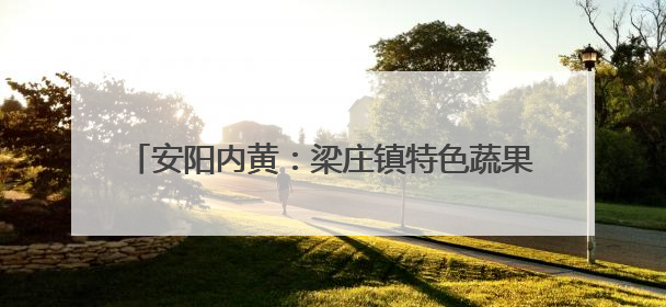 安阳内黄：梁庄镇特色蔬果亮相央视农业品牌甄选会