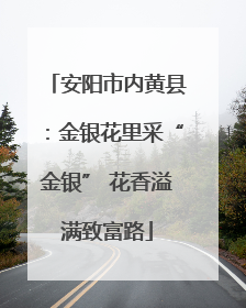 安阳市内黄县：金银花里采“金银” 花香溢满致富路